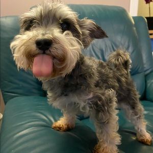 Meet your Posher, Kat